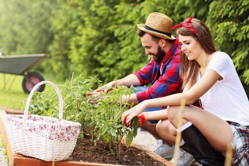 Modern design trends in Crystal Palace landscape gardening