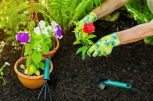 Professional landscaper working on a Crystal Palace property