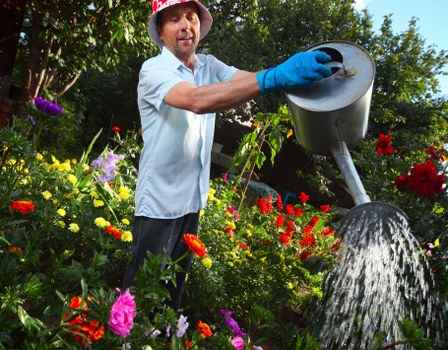 Proper waste disposal during garden clearance