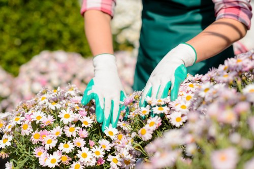 DIY garden maintenance tools and sustainable practices in a Crystal Palace garden
