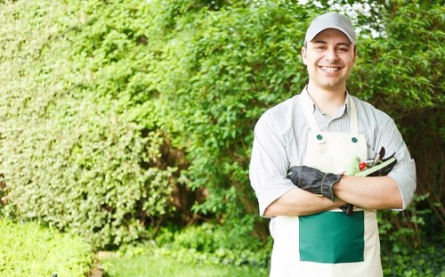 Choosing the right tree service professionals