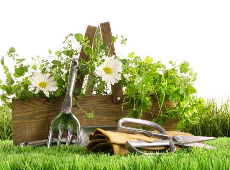 Key elements of a Crystal Palace garden design